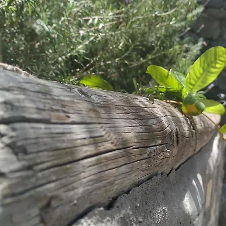 Сasa de vacaciones La Ladera