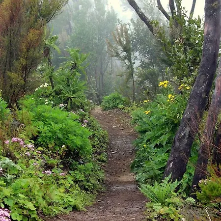 La Ladera * Valle Gran Rey
