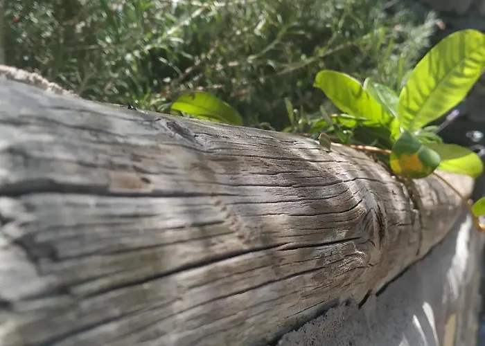 Ferienhaus La Ladera