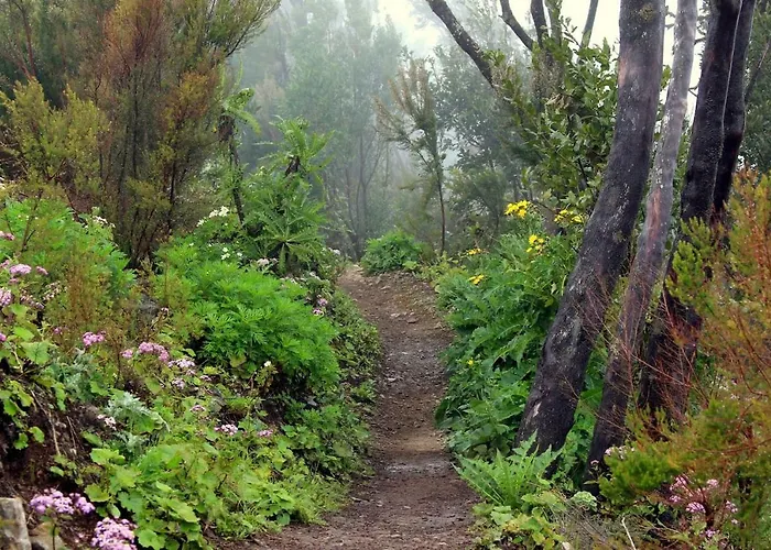 La Ladera * Valle Gran Rey